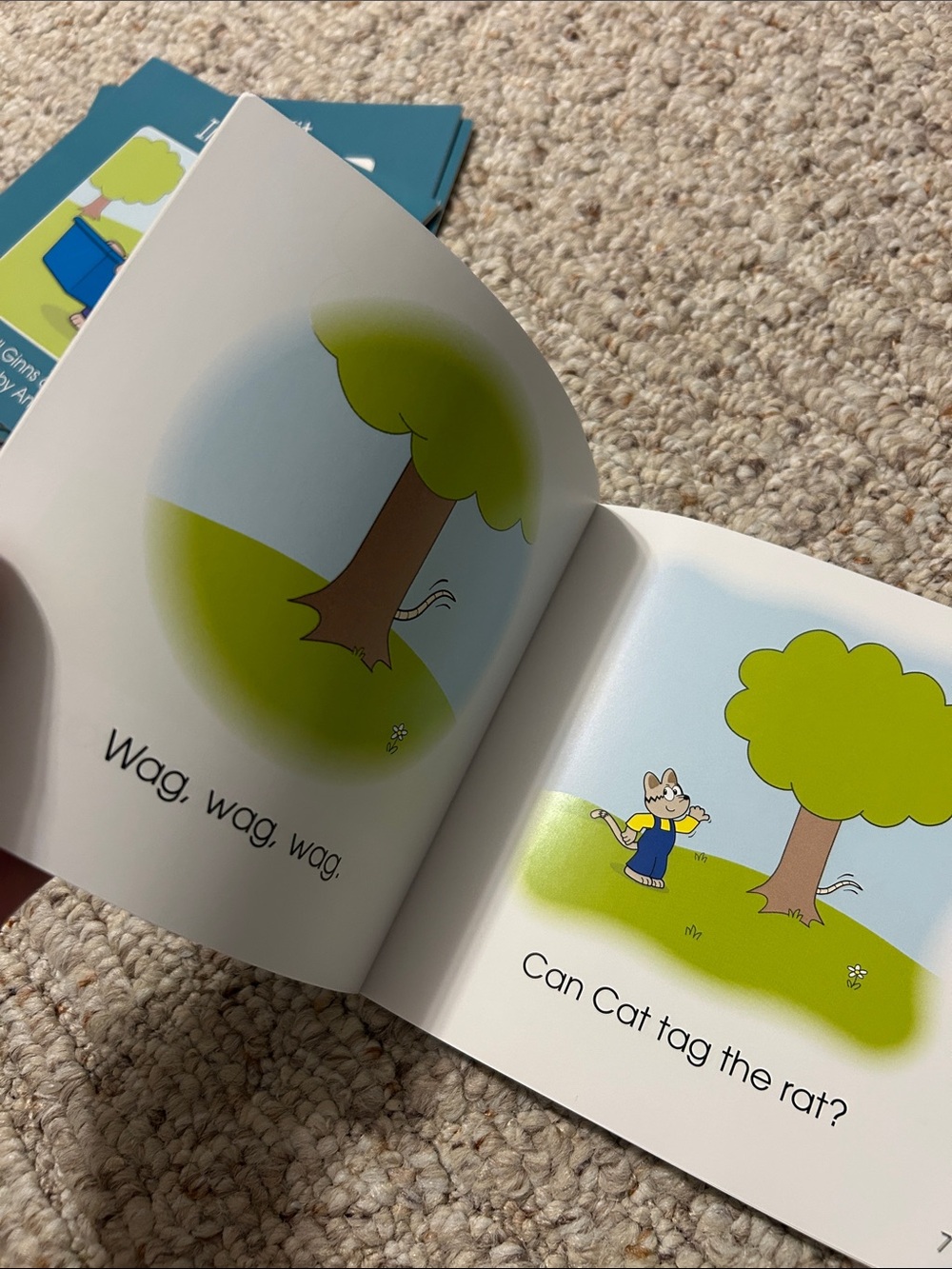 Hooked on Phonics Learn to Read Workbooks and Readers - Picture 6 of 14